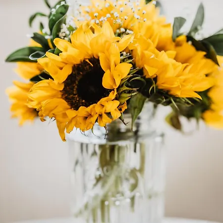 Mallyan Spout Hotel Hotel Goathland