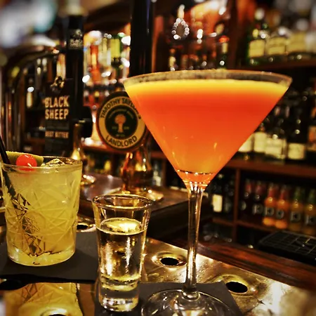 酒店 玛丽安斯波特酒店 戈斯兰