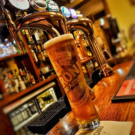 玛丽安斯波特酒店 酒店 戈斯兰