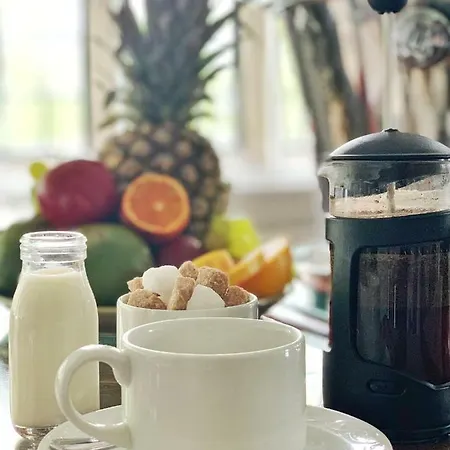 玛丽安斯波特酒店 酒店 戈斯兰